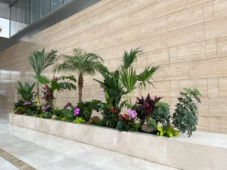 想找海曙植物租摆服务好的？这家超靠谱！